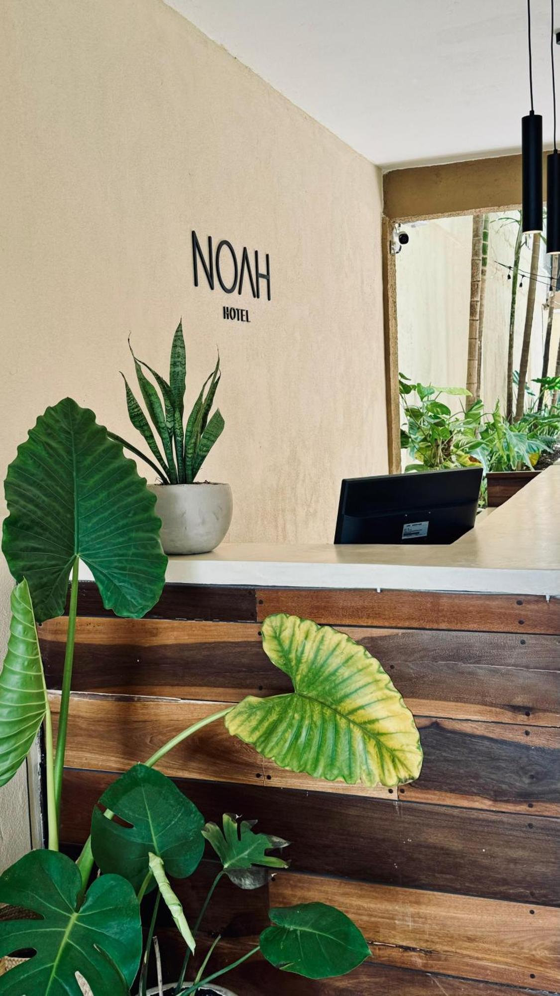 Hotel Noah تولوم المظهر الخارجي الصورة